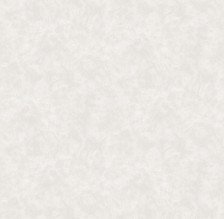 Обои 585341 Victoria Stenova Peony (1,06х10) (6)