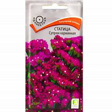 Семена Статица Суприм Карминная (Поиск)