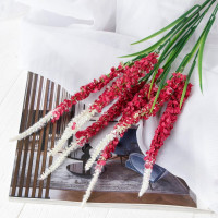 Букет Сорго 45см 5378583