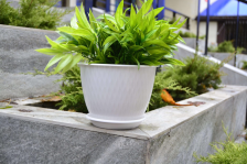 Горшок с поддоном Корсика 2,4л белый