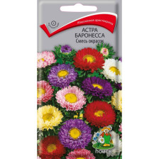 Семена Астра Баронесса Смесь окрасок (Поиск)