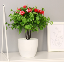 Бонсай "Гардения жасминовидная" 9х21см, микс, 7081309