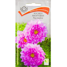 Семена Космея Махровая Роуз Бонбон (Поиск)