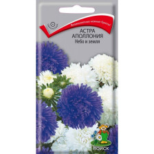 Семена Астра Аполлония Небо и Земля (Поиск)