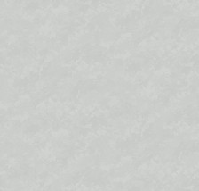 Обои 589523 Victoria Stenova Astra (1,06х10) (6)