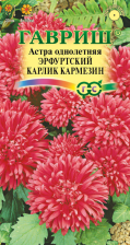Семена Астра Эрфуртский карлик Кармезин 0,3г (Гавриш)