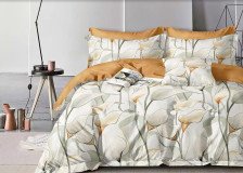 КПБ поплин CL HOME Pure Cotton 010-PCE 50х70+70х70, Евро