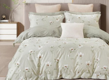 КПБ поплин Pure Cotton 300-PCE 70х70 2 сп Cleo