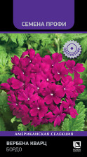 Семена Вербена Кварц Бордо 10шт (Поиск)