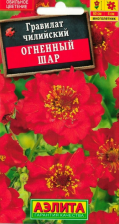 Семена Гравилат Огненный шар (Аэлита)