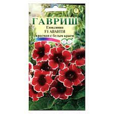 Семена Глоксиния Аванти Красная с белым краем 5шт (Гавриш)