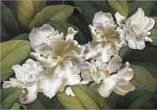 Фотообои "Совершенство" 9л (291х204) ЛЮКС