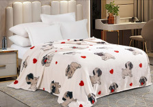 Плед велсофт в чемодане California 204-pf 180х200 Cleo