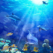 Штора для ванной комнаты 180х180см BRIMIX МОРСКОЕ ДНО, фотопечать, без колец 02-09