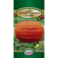 Семена Тыква Атлант (ЛМС) (Поиск)