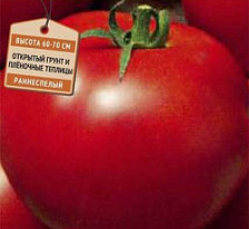 Семена Томат Рассвет F1 (А) (Поиск)
