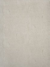 Обои R23307 Zambaiti Felicita 1,06х10,05 (4)