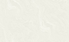 Обои 60611-03 Erismann Rivo 1,06х10 (6)