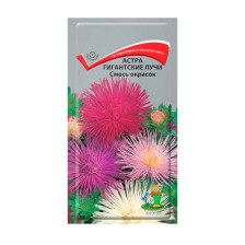 Семена Астра Гигантские лучи Смесь окрасок (Поиск)
