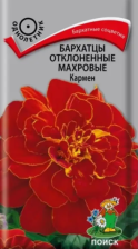 Семена Бархатцы отклоненные махровые  Кармен (Поиск)