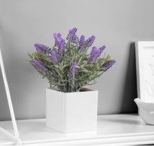 Бонсай "Лаванда экстра галант" сиреневый 8х18см Микс 10325057