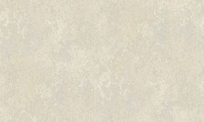 Обои 8024B Style Walls 1,06x10 (6)