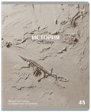 Тетрадь предметная 48 л BG Печать времени История