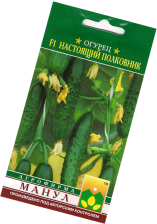 Семена Огурец Настоящий полковник F1 (Манул)