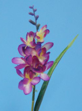 Ветка Фрезия 40см, 6 цветков