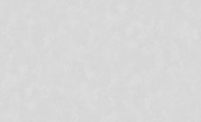 Обои 60982-02 Erismann Benefit 1,06х10 (6)