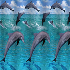 Штора для ванной комнаты 180х180см САНАКС ДЕЛЬФИНЫ В ОКЕАНЕ без колец 01-59