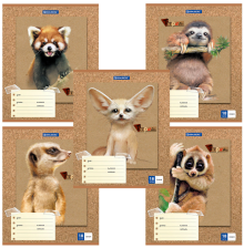 Тетрадь 18 л линия BRAUBERG Милые зверушки