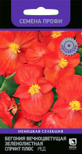 Семена Бегония вечноцветущая зеленолистная Спринт Плюс Ред 10шт (Поиск)