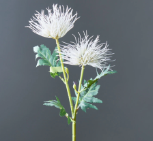 Цветок искусственный Хризантема 52х14 см белый