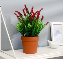 Бонсай "Мускари" 10х23см Микс 7081317