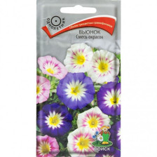 Семена Вьюнок Смесь окрасок (Поиск)