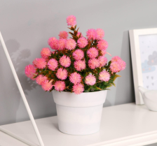 Бонсай в горшке"Астра с остролистом" 10х20см Микс 7081290