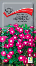 Семена Катарантус ампельный Медитерранеан Бургунди Хало 10шт (Поиск)