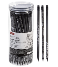Карандаш ч/г HB Hatber Pantera с ласиком заточен