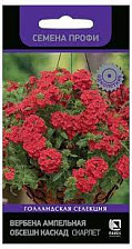 Семена Вербена ампельная Обсешн Каскад Скарлет (Поиск)