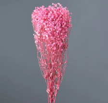 Сухоцвет Гипсфила 70-80 см нежно-розовый