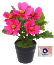 Цветочная композиция Поцелуй лета Космея ярко-розовая 20см 951-584