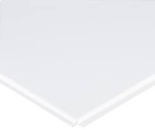 Плита потолочная пластик Белая матовая (0,6х0,6 м) (10)