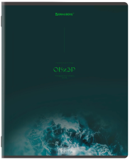 Тетрадь предметная 48 л Brauberg Peaceful ОБиЗР