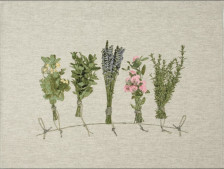 Полотенце полулен рис 245 цв 1 Целебные травы-1 46х60 Орша