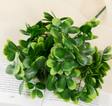 Букет "Мелколист ребристый" 24см 4642737