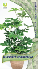 Семена Шеффлера Древовидная (Поиск) Семена Шеффлера Древовидная (Поиск)