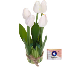 Букет Тюльпаны "Весенняя рапсодия" 10х26см (белые) 951-398
