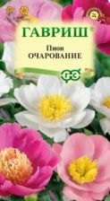 Семена Пион Очарование молочноцветковый 3шт (Гавриш)