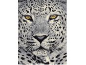 Ковер Color дизайн L829A 2,0х3,0м l.grey-yellow
